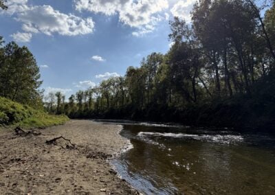 Sandy river bank with calm moving water and trees in the background.